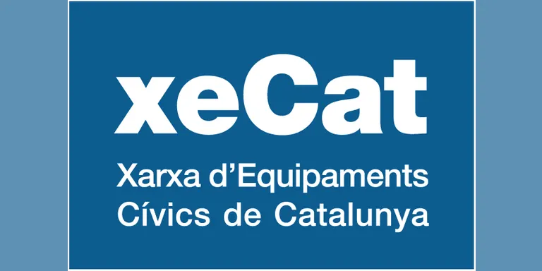 El Casal Cívic de la Seu ofereix nous cursos aquest trimestre