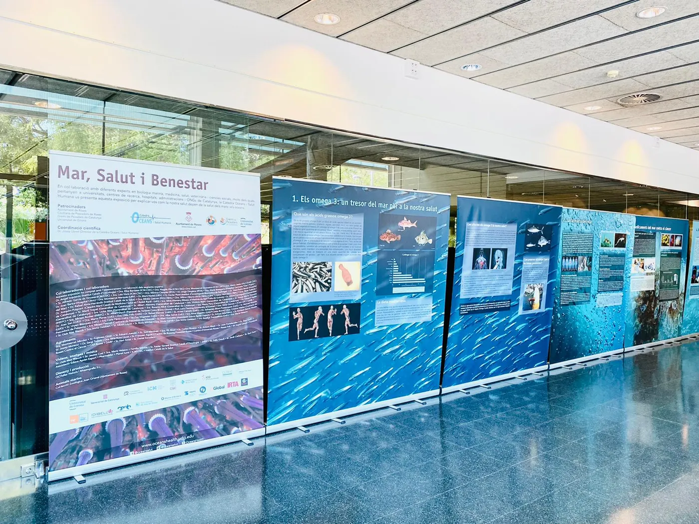 L’exposició “Mar, salut, benestar” es presenta a la Biblioteca Ernest Lluch