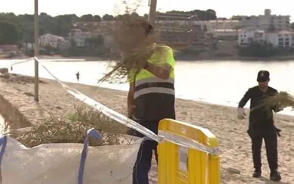 Foto: TV3