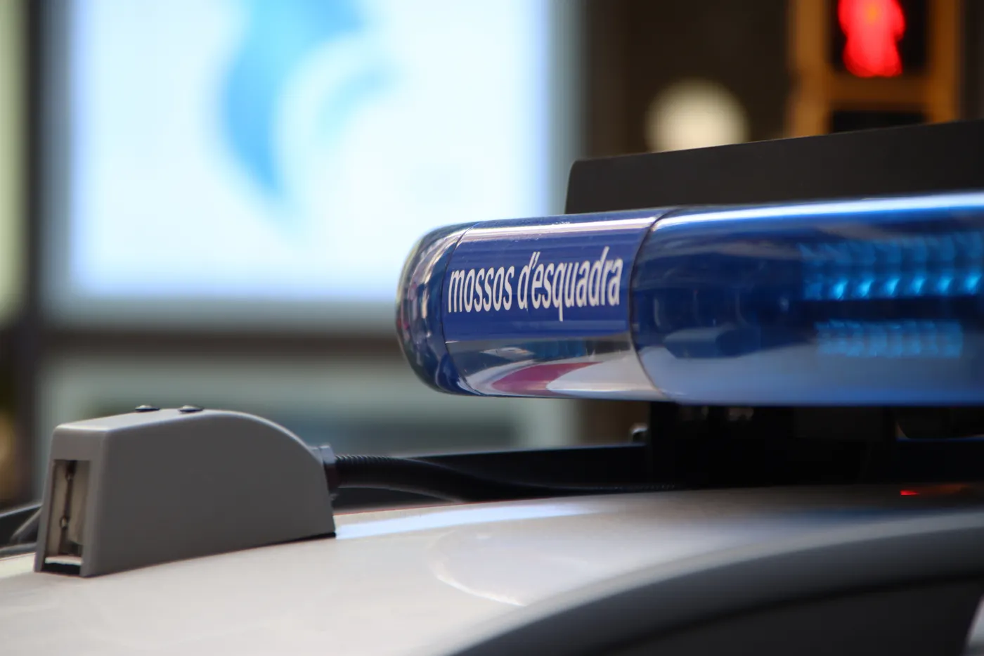 Dotze detinguts i més de 300 identificats en un gran operatiu policial al centre històric de Valls