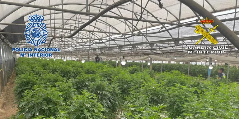 Desmantellada a Vilassar de Mar la partida més gran de marihuana de tot l’Estat