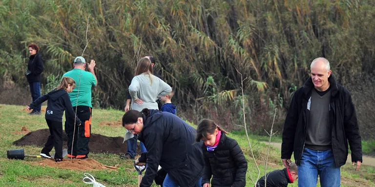 El Dia de l'Arbre Autòcton es farà al Parc de Ca N'Alzamora aquest diumenge
