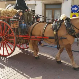 Entrevistes de la Justa del 12/1/2018 — Tres Tombs de Sant Antoni a Sant Just Desvern: horaris, benedicció d’animals, recorregut i història (amb Robert Santacana) - episode art