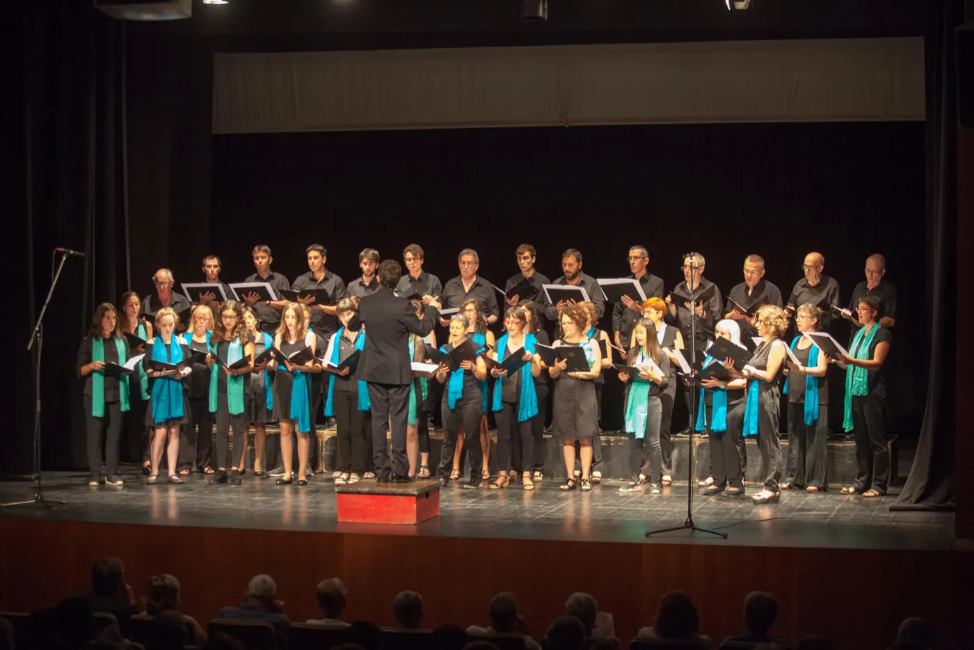 El Ple de Solsona dona suport unànime a la petició de l'Orfeó per demanar la Creu de St. Jordi amb motiu del seu centenari