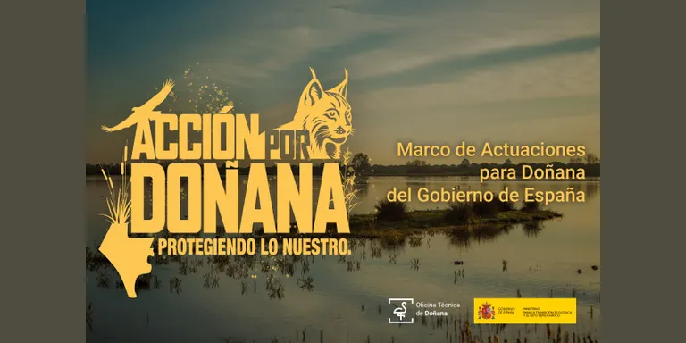 El Gobierno de España lanza la campaña ‘Acción por Doñana’ para sensibilizar a la población sobre la importancia de la protección del espacio natural