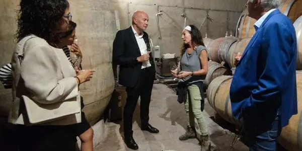 El Govern defensa l'aposta per recuperar antigues varietats de vinya i d'altres de noves resilients al canvi climàtic