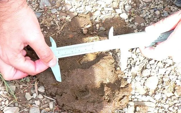 El Centre d’Estudis d’Altafulla reprèn el calendari de conferències per Sant Martí