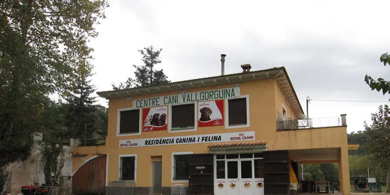 Can Clarens va recollir 41 gossos i 15 gats durant el 2020