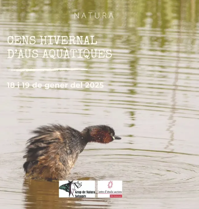 El Grup de Natura i els Agents Rurals organitzen un cens hivernal d'ocells aquàtics