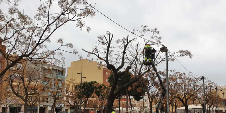Esporgues de seguretat a la plaça de les Mèlies