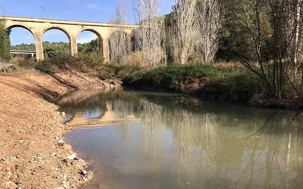 Foto: Associació Mediambiental La Sínia