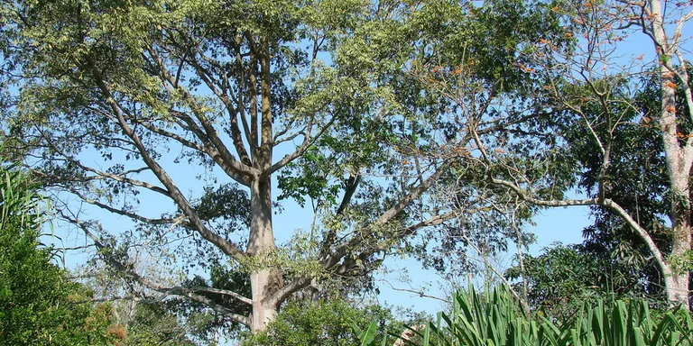 ‘Crònica’ 04.06.2021