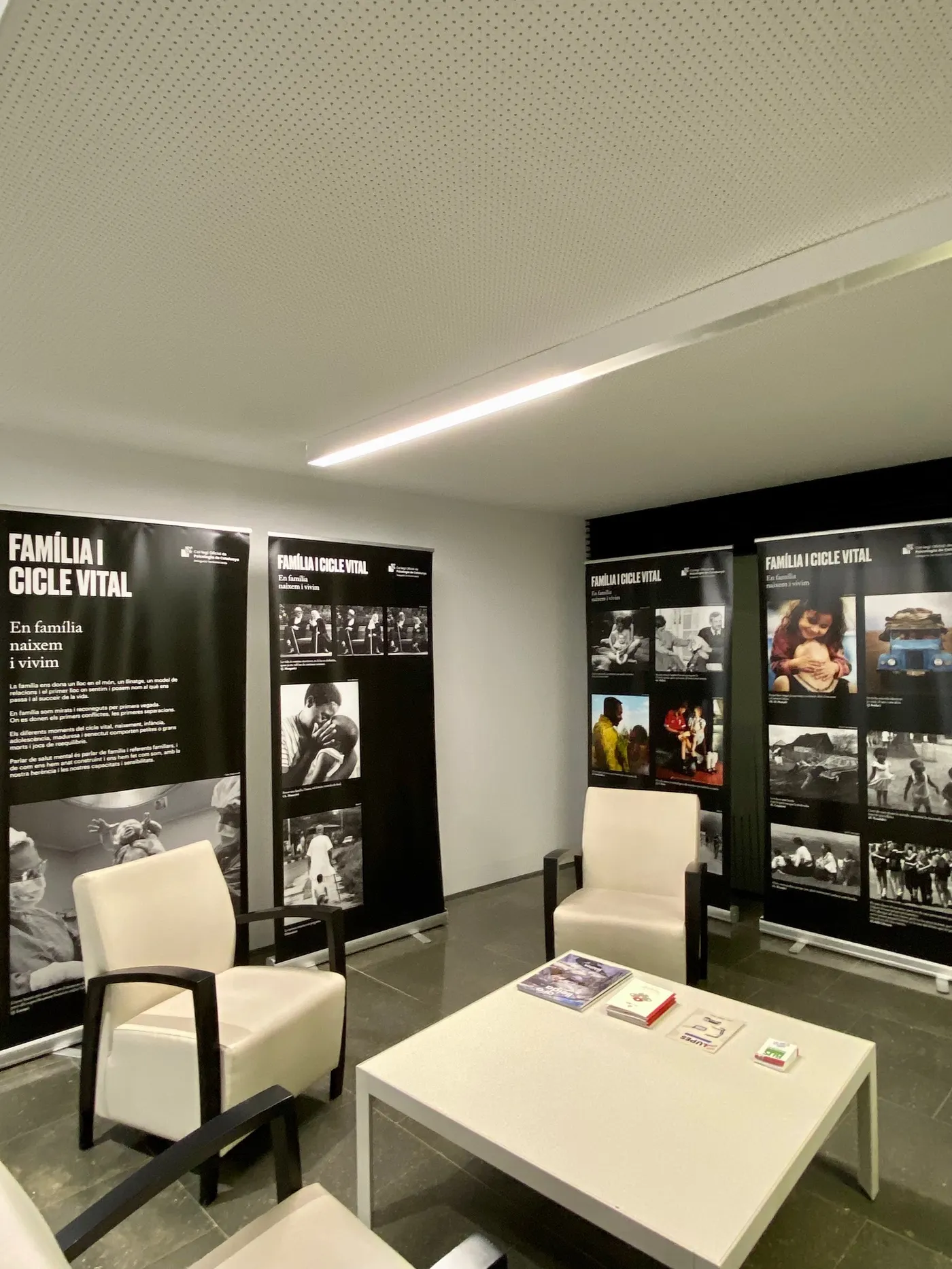 La Taula de Salut Mental del Solsonès organitza el primer programa d'activitats de sensibilització culturals i divulgatives