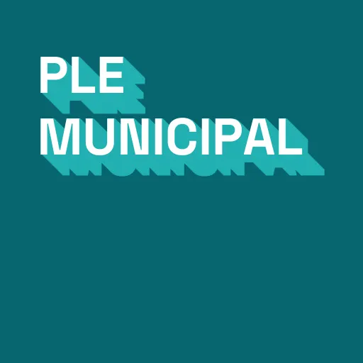 El ple municipal