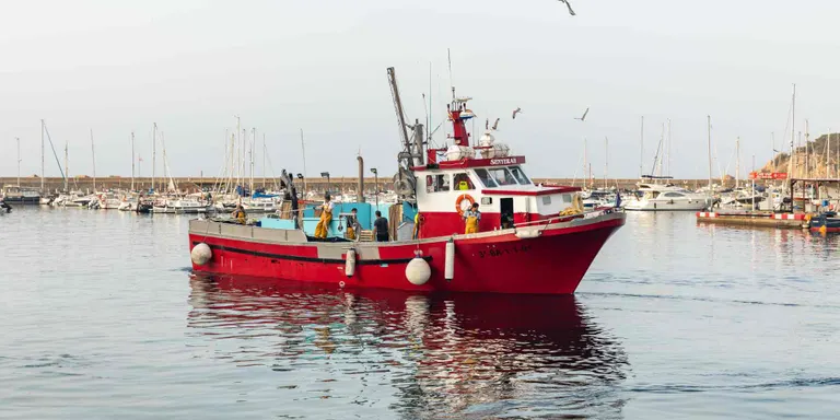 Comença la veda biològica de la pesca d'encerclament que durarà dos mesos
