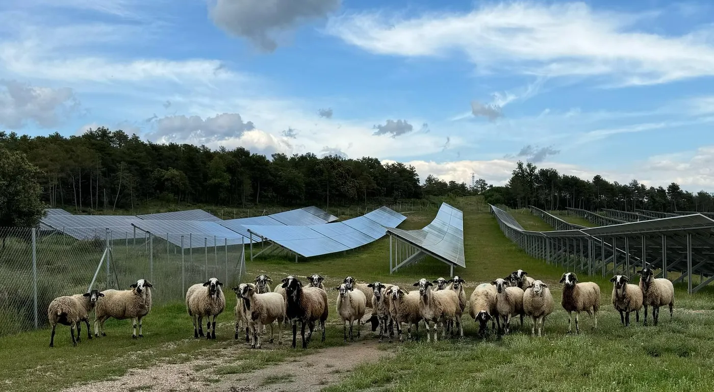 Portes obertes a un parc solar i tres programes de ràdio de sensibilització per commemorar la Setmana Europea de l'Energia Sostenible al Solsonès