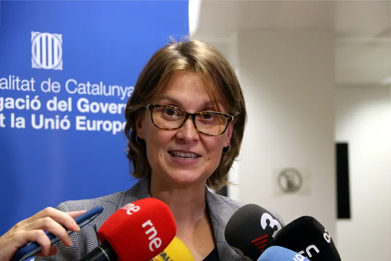 Serret veu "incoherents i incongruents" les votacions "d'alguns grups" que van tombar la llei del Pla estadístic