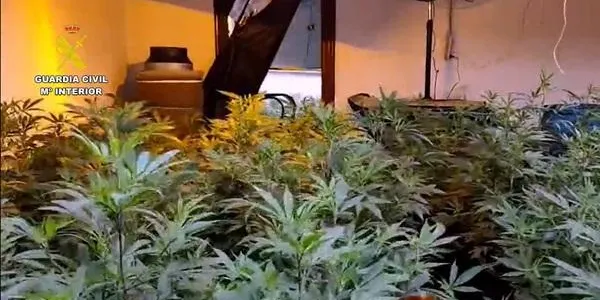 Desarticulen una organització criminal que operava al Catllar i a l’Ametlla de Mar