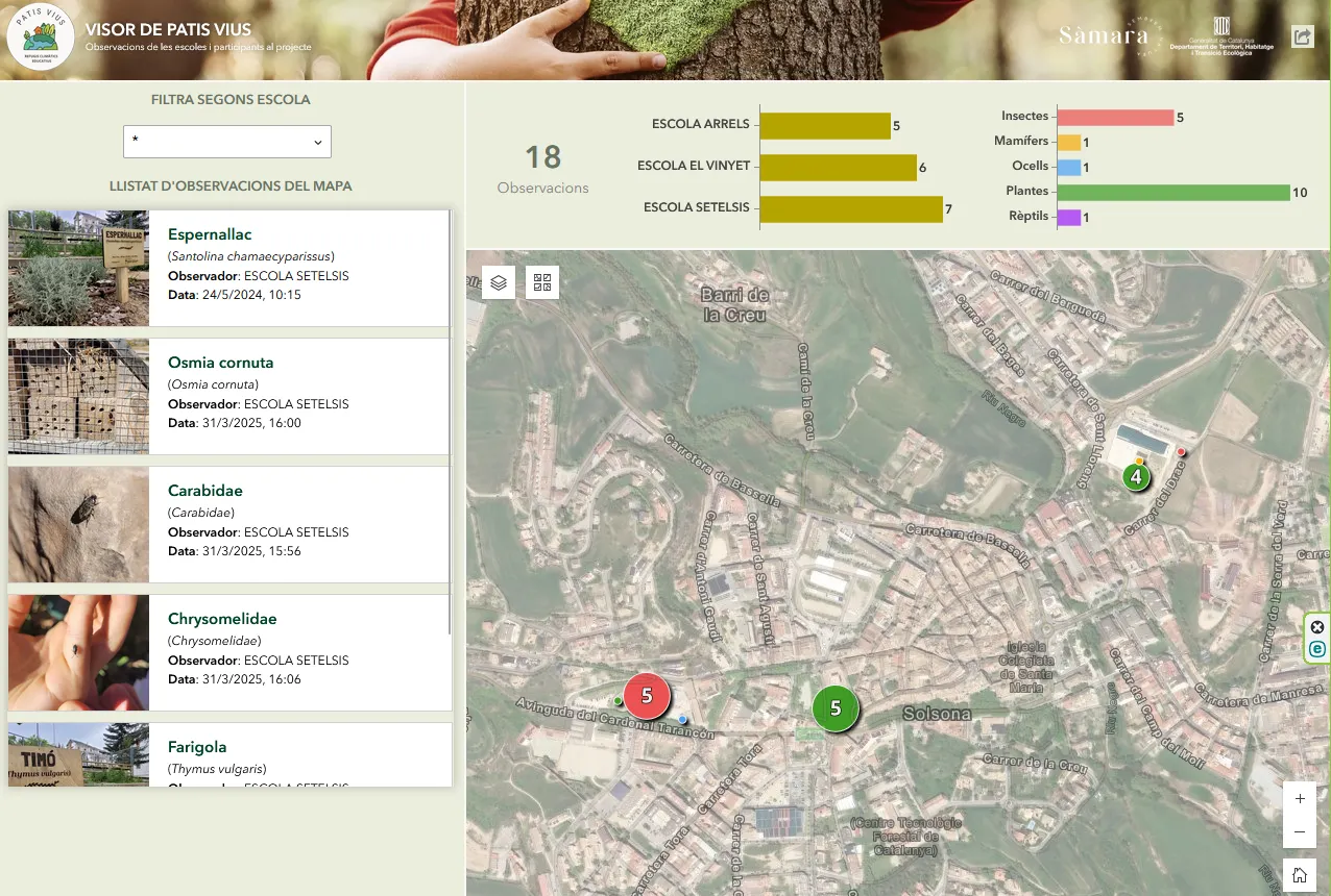 Sàmara Natura presenta el nou visor cartogràfic de la biodiversitat dels patis i l'entorn escolar