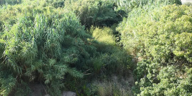L’Ajuntament de Cambrils encarrega la neteja de la llera de la riera de Maspujols a Gil Forestal SL