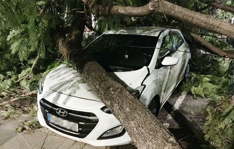 Un abogado explica en COPE Utrera cómo reclamar los daños provocados por el temporal de viento
