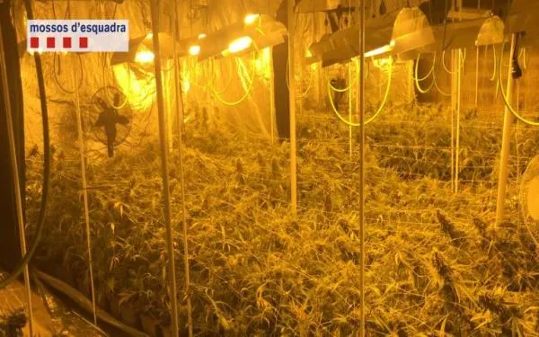 Foto: Mossos d'Esquadra