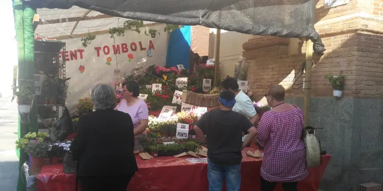 Del 4 al 6 de juny, Tòmbola de plantes