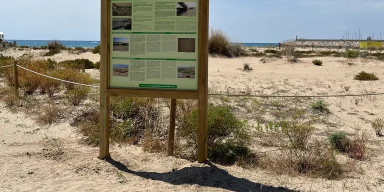 S'instal·len cartells informatius a les dunes de la platja de la Paella