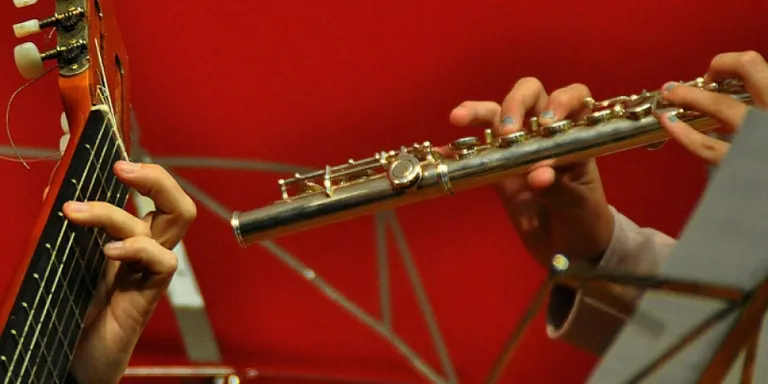 L'orquestra de Cambra de la Pere Burés s'estrena aquest diumenge al Celler