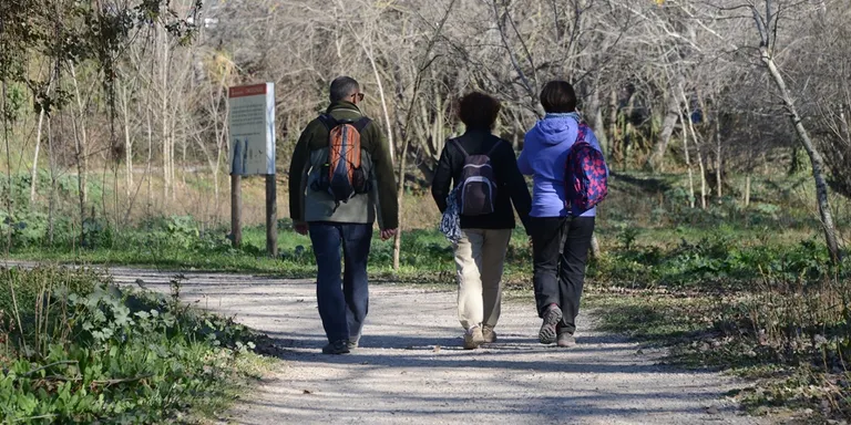 Les inscripcions pel cicle de caminades de primavera comencen aquest dilluns
