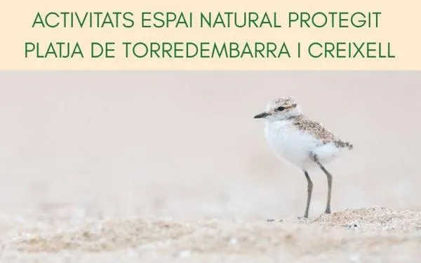 Foto: Ecologistes en Acció i Associació Aurora