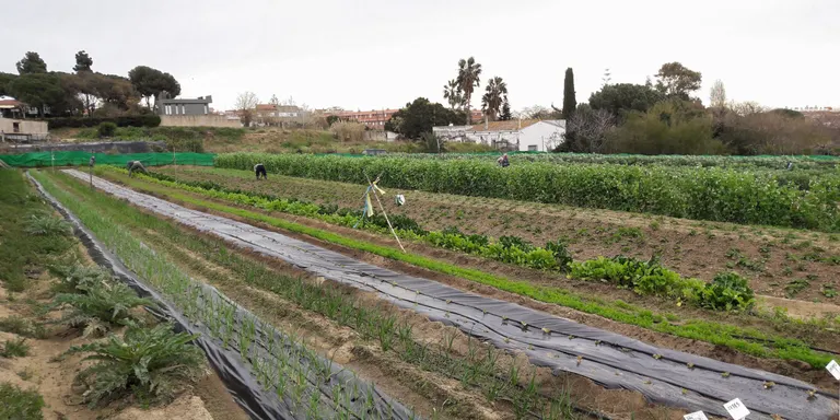 Entrem a l’Hort Social de Premià de Mar