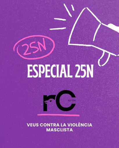 Especial 25N