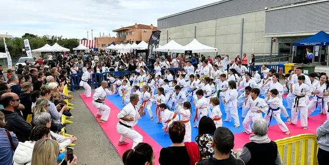 Ajornada la Festa de l'Esport