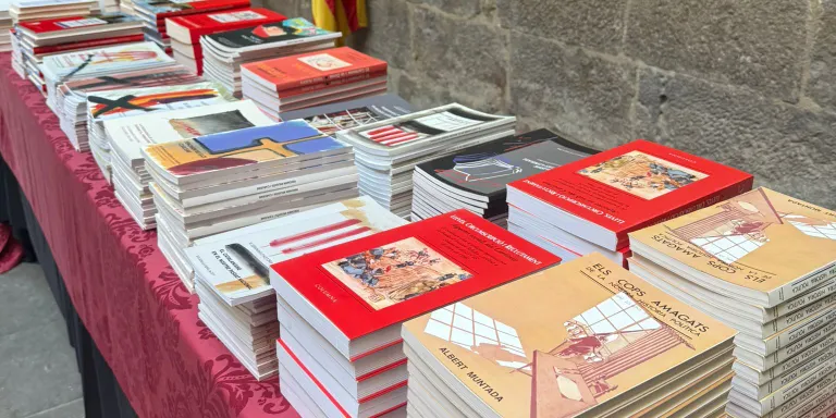 El Consell Comarcal torna a instal•lar una parada de llibres gratuïts al pati gòtic