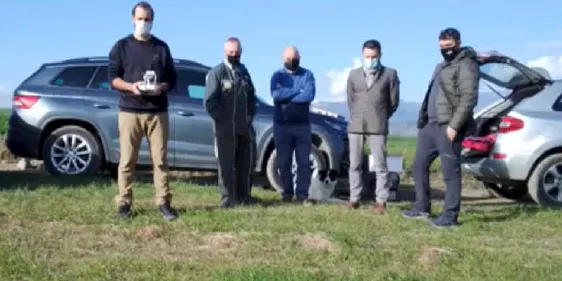 La Federació de Bruna dels Pirineus aposta pels drons per controlar els ramats