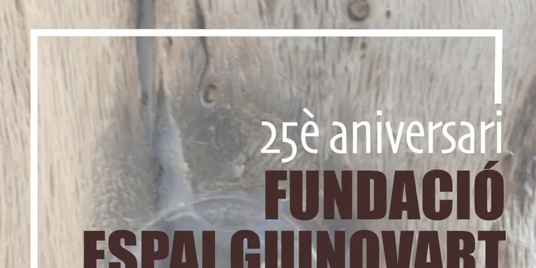 La Fundació Espai Guinovart celebra el seu 25è aniversari