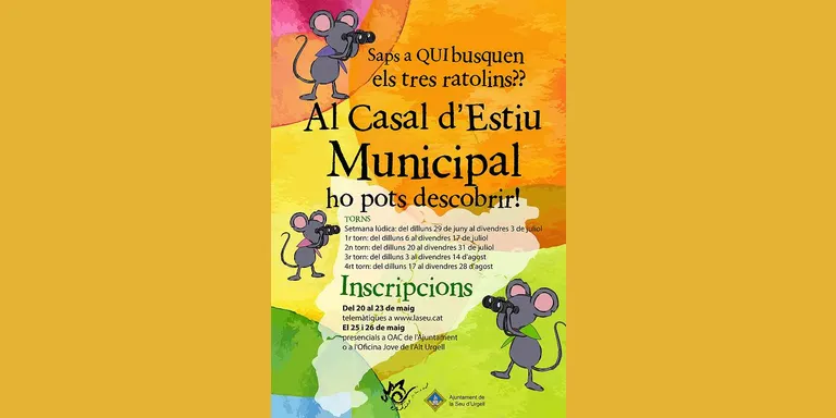 Places disponibles per assistir al Casal Municipal d'Estiu de la Seu