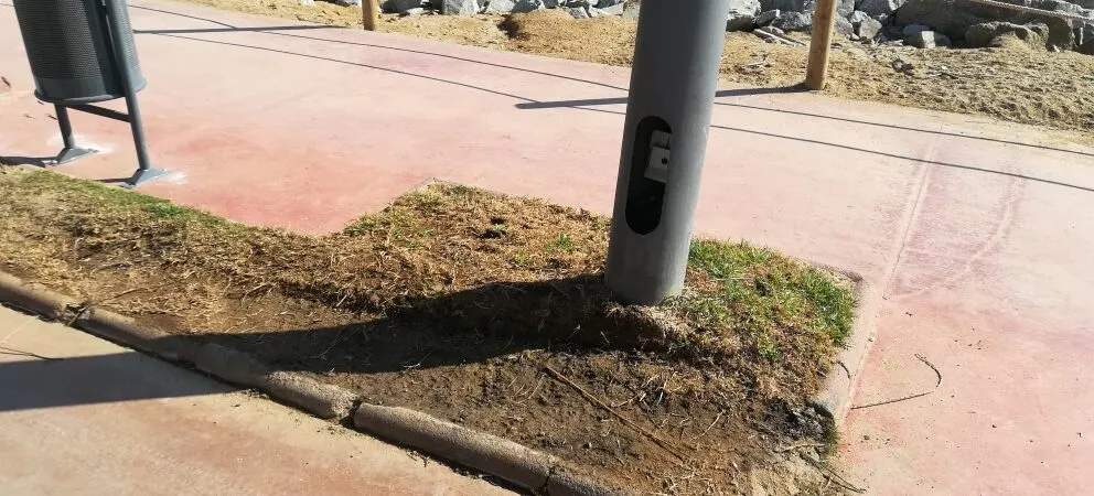 El govern ha confirmat que les obres al Passeig Marítim continuaran