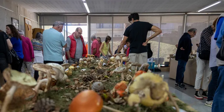 Centenars de bolets i una degustació única