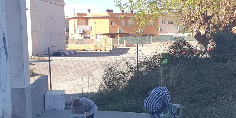 L'Associació Amants dels Animals de Constantí s'inicia en el mètode CER de control de gats de carrer