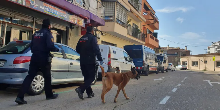 Operació antidroga avui a Pineda