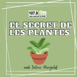 #3188 - L'esparnallà - El secret de les plantes amb la Dolors Margalef - episode art