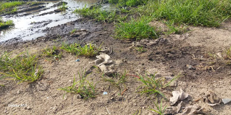 Els Mossos d'Esquadra denuncien per abocaments contaminants una empresa de Santa Susanna de neteja de fosses sèptiques