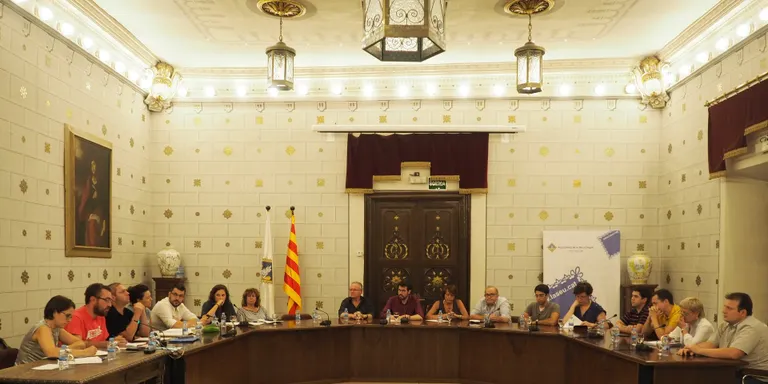 Aprovat el Pla de Joventut de la Seu per als pròxims quatre anys
