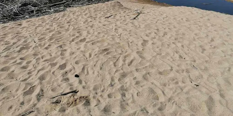 Continua prohibit l'accés i el bany a la desembocadura de La Tordera