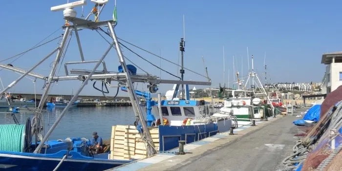 La flota d’arrossegament de la Confraria de Pescadors de Sant Elm comença la veda fins el 8 de març