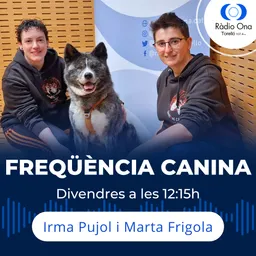 142 - Tocar gossos desconeguts - Freqüència canina del 23/10/2026 - episode art