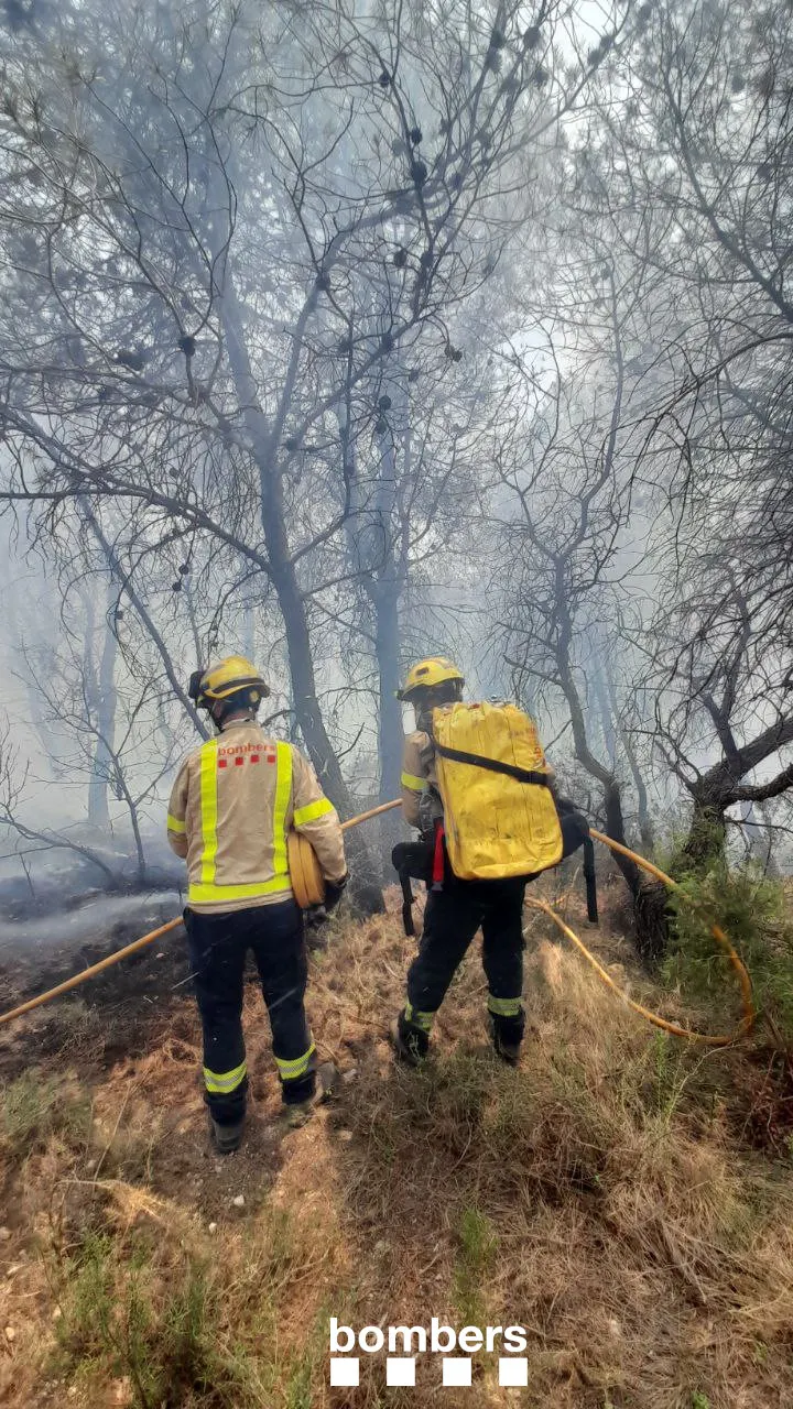 Es dona per estabilitzat l’incendi del Pont d’Armentera