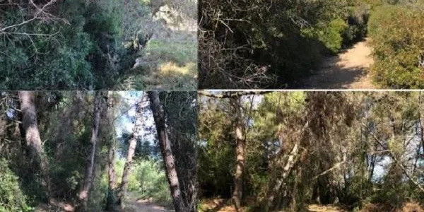 L’Ajuntament del Catllar ja treballa en la recuperació total del traçat que uneix el municipi amb la Secuita